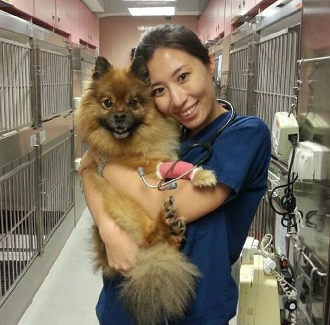 doctor cheung hugging pomerian dog