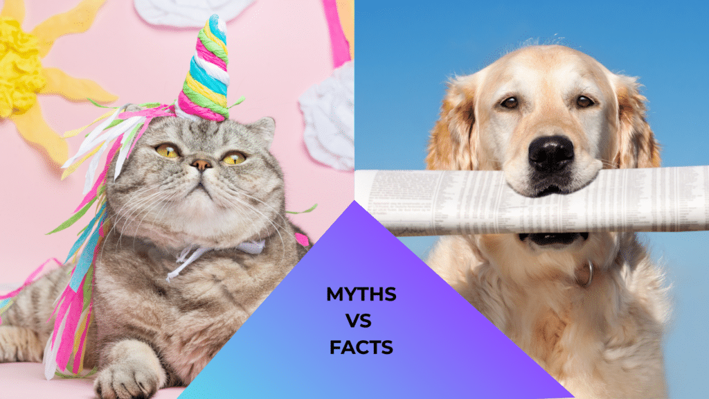 Cat dressed like a unicorn beside a dog with a newspaper representing myths and facts about animal care at Happy Valley Pet Hospital in Campbell, CA