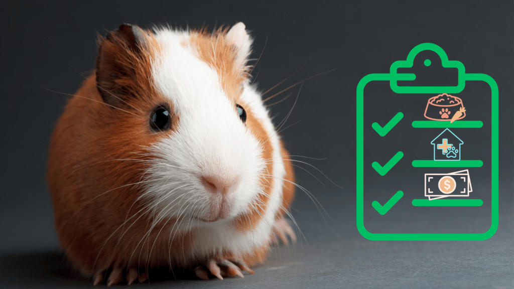 Guinea pig next to new pet checklist from Happy Valley Pet Hospital in Campbell, California